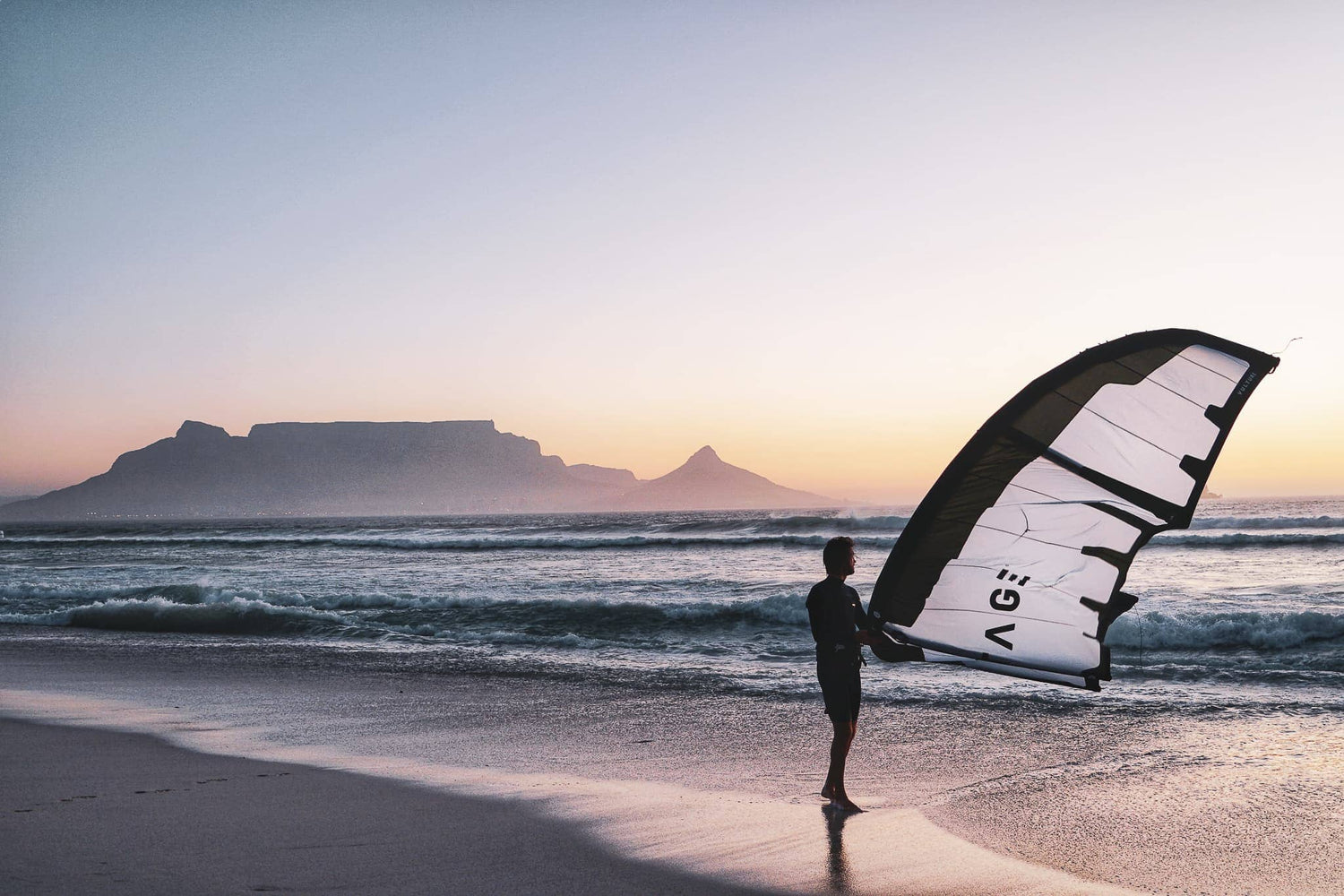 Vantage Kites Vulture kite